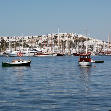 AMERİKALI ÜNLÜ AKTÖR BODRUM’DA EVLENDİ!..